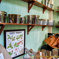 Plant pots and other items in the Deyrolle showroom